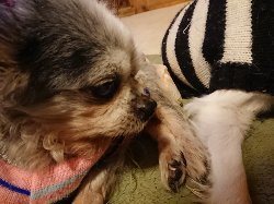 f:id:roukenhome-ann:20190215083846j:plain