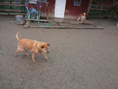 f:id:roukenhome-ann:20190215083858j:plain