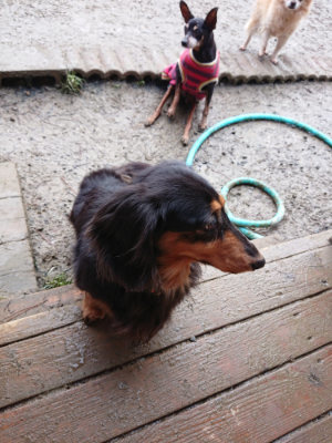 f:id:roukenhome-ann:20190215083918j:plain