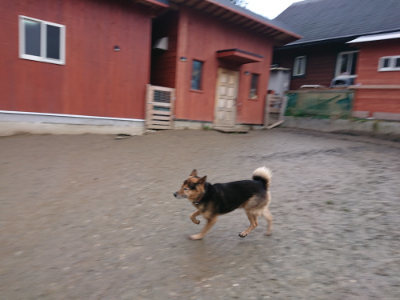f:id:roukenhome-ann:20190215084012j:plain