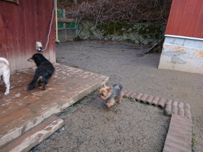 f:id:roukenhome-ann:20190215084114j:plain