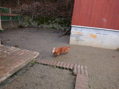 f:id:roukenhome-ann:20190215084233j:plain