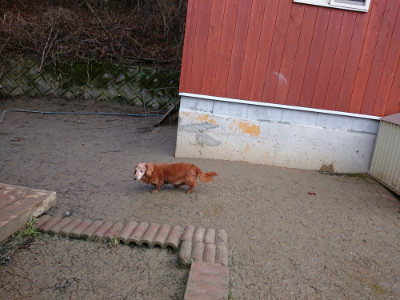f:id:roukenhome-ann:20190215084441j:plain