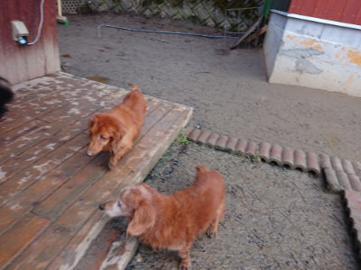 f:id:roukenhome-ann:20190215084457j:plain