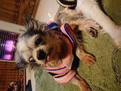 f:id:roukenhome-ann:20190215085139j:plain