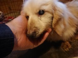 f:id:roukenhome-ann:20190215085208j:plain