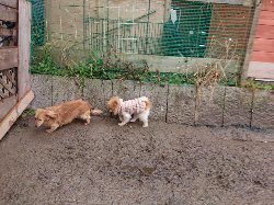 f:id:roukenhome-ann:20190215085247j:plain