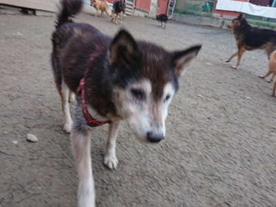 f:id:roukenhome-ann:20190215195116j:plain