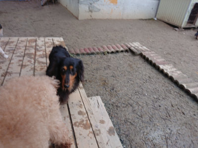 f:id:roukenhome-ann:20190215195211j:plain