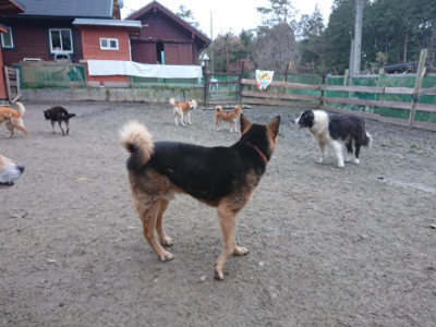 f:id:roukenhome-ann:20190215195224j:plain