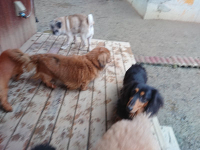 f:id:roukenhome-ann:20190215195308j:plain