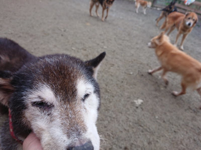 f:id:roukenhome-ann:20190215195609j:plain