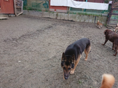 f:id:roukenhome-ann:20190215195724j:plain