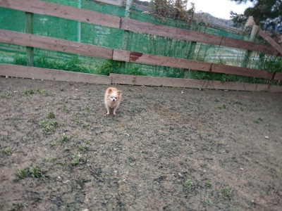 f:id:roukenhome-ann:20190215195732j:plain