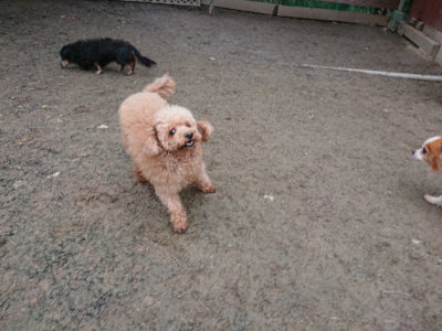 f:id:roukenhome-ann:20190215195920j:plain