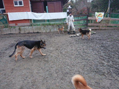 f:id:roukenhome-ann:20190215195940j:plain