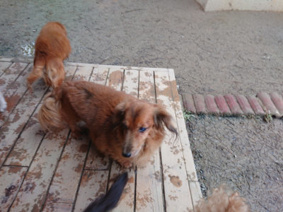 f:id:roukenhome-ann:20190215200003j:plain