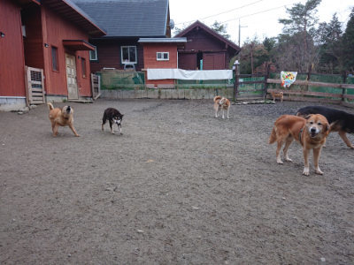 f:id:roukenhome-ann:20190215200038j:plain
