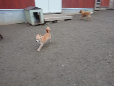 f:id:roukenhome-ann:20190215200057j:plain