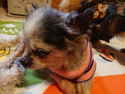 f:id:roukenhome-ann:20190215200238j:plain