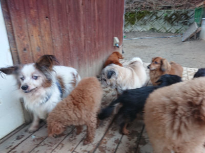 f:id:roukenhome-ann:20190215200258j:plain