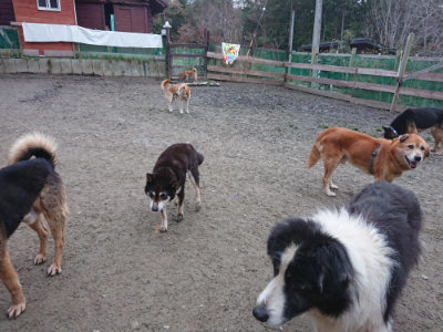 f:id:roukenhome-ann:20190215200303j:plain