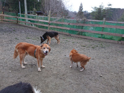 f:id:roukenhome-ann:20190215200335j:plain