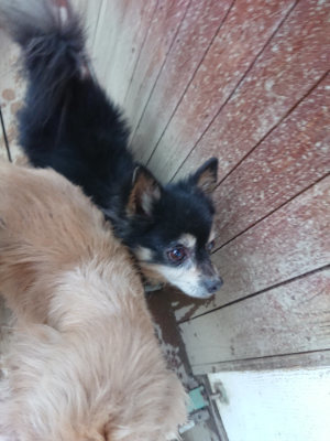 f:id:roukenhome-ann:20190215200346j:plain