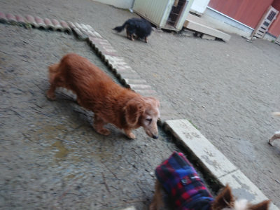 f:id:roukenhome-ann:20190215200352j:plain