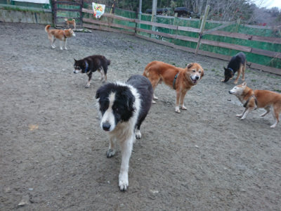 f:id:roukenhome-ann:20190215200400j:plain