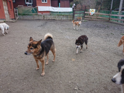 f:id:roukenhome-ann:20190215200406j:plain