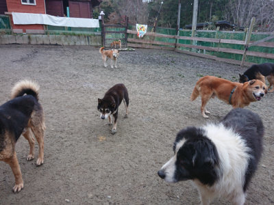 f:id:roukenhome-ann:20190215200412j:plain