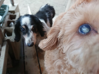 f:id:roukenhome-ann:20190215200417j:plain