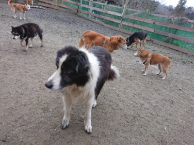 f:id:roukenhome-ann:20190215200439j:plain