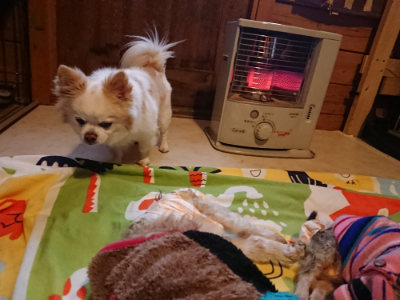 f:id:roukenhome-ann:20190215200446j:plain