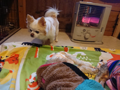f:id:roukenhome-ann:20190215200451j:plain