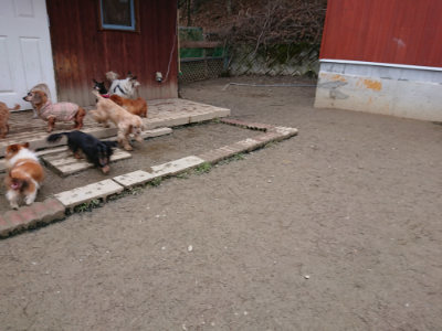 f:id:roukenhome-ann:20190215200456j:plain