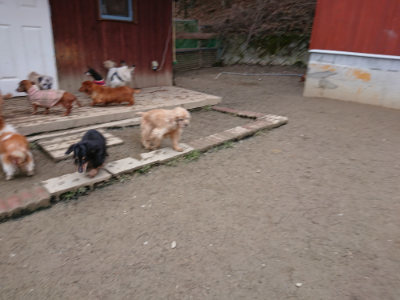 f:id:roukenhome-ann:20190215200501j:plain