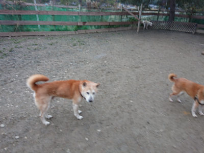 f:id:roukenhome-ann:20190215200514j:plain