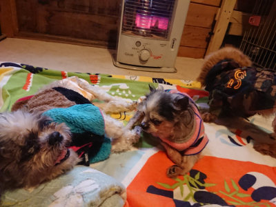 f:id:roukenhome-ann:20190215200520j:plain