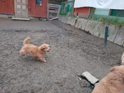 f:id:roukenhome-ann:20190215200532j:plain