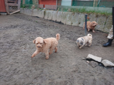 f:id:roukenhome-ann:20190215200537j:plain