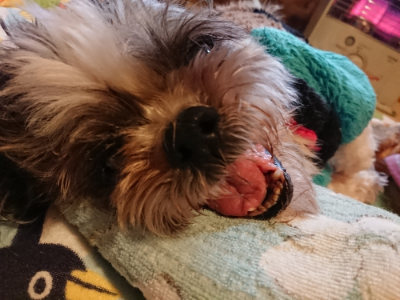 f:id:roukenhome-ann:20190215200548j:plain