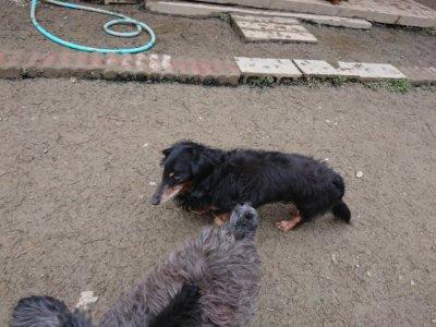 f:id:roukenhome-ann:20190215200606j:plain