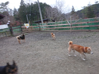 f:id:roukenhome-ann:20190215200620j:plain