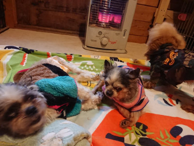 f:id:roukenhome-ann:20190215200627j:plain
