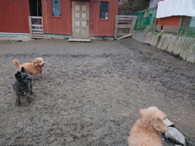 f:id:roukenhome-ann:20190215200640j:plain