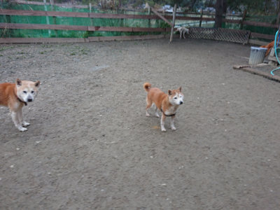 f:id:roukenhome-ann:20190215200645j:plain