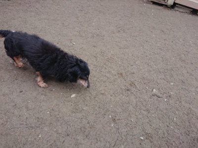 f:id:roukenhome-ann:20190215200705j:plain