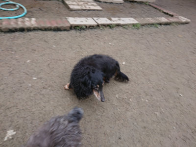 f:id:roukenhome-ann:20190215200736j:plain